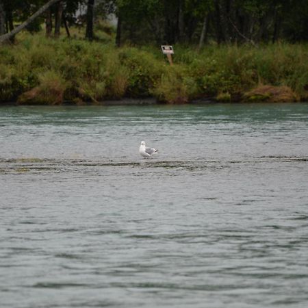 Salmon Catcher Lodge Kenai Eksteriør billede